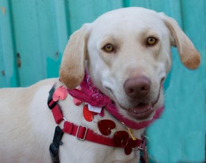 elroyDSC_2278_edited-1